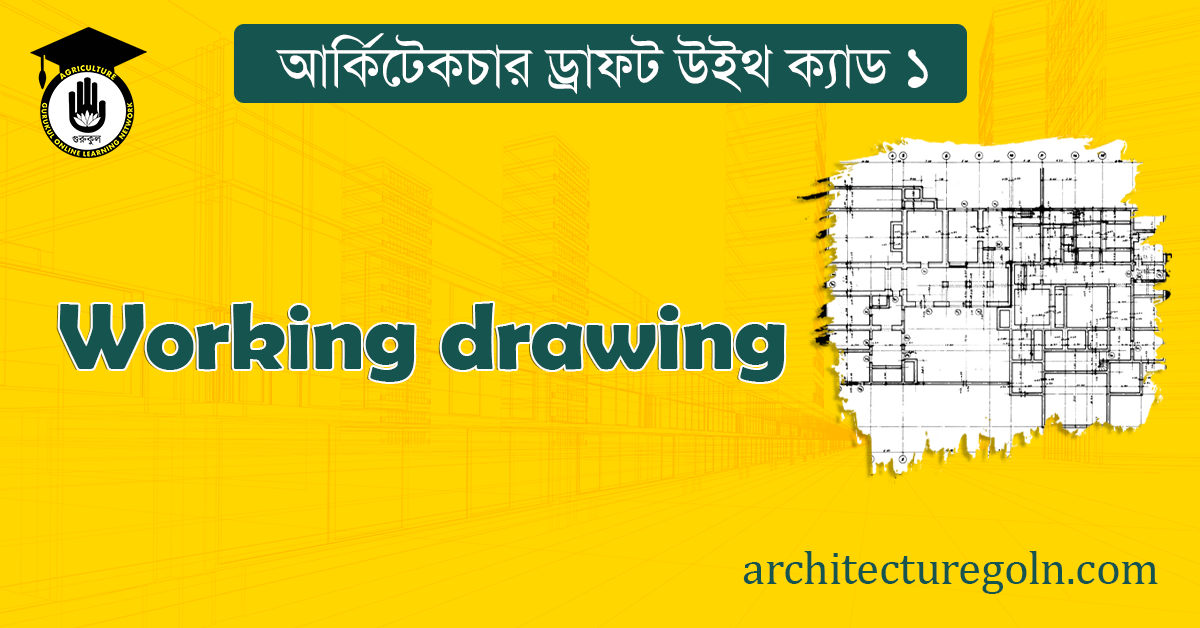 ওয়ার্কিং ড্রইং [ Working drawing ]